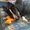 Photo of Judi L.