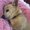 Photo of mimsy v.