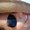 Photo of Rocio P.