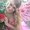 Photo of LeeAnn L.