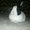 Photo of T T.