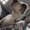 Photo of Candice P.