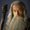 Photo of Gandalf T.