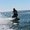 Photo of Cityvox User (balise…)