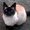 Photo of Cindy O.
