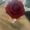 Photo of Breonna P.