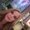 Photo of Rachael J.