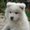 Photo of Qype User (chrcb8…)