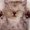 Photo of Qype User (olgage…)