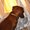 Photo of Maxton D.