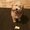 Photo of Micky P.