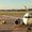 Photo of Kristian A.
