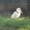 Photo of Cat F.