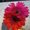Photo of George W. B.