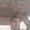 Photo of Josh T.