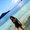 Photo of Deepthi B.