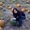 Photo of Yachin H.