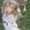 Photo of Sandra S.