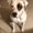 Photo of Becky R.