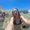 Photo of Megan M.