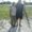 Photo of Danay V.