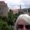 Photo of Amy Y.