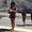Photo of Swetha R.