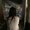 Photo of Cassidy H.