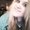 Photo of Alyssa M.