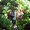Photo of Bruce J.