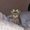 Photo of Anonymous C.