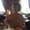 Photo of Christy T.