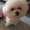 Photo of Jing Y.