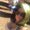 Photo of Angie A.