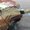 Photo of Josh L.