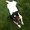 Photo of Finicky B.