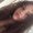 Photo of Jessenia d.