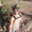 Photo of Vone P.