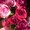 Photo of Qype User (loumai…)