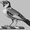 Photo of Qype User (DesFre…)