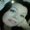 Photo of Gina A.