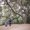 Photo of Joana M.