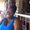 Photo of Thenera B.