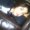 Photo of Ivonne M.