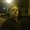 Photo of Steven T.