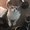 Photo of Donghui H.