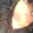Photo of Charmira G.