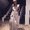 Photo of Mariana B.