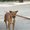 Photo of Qype User (edelma…)