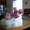 Photo of Yelper N.